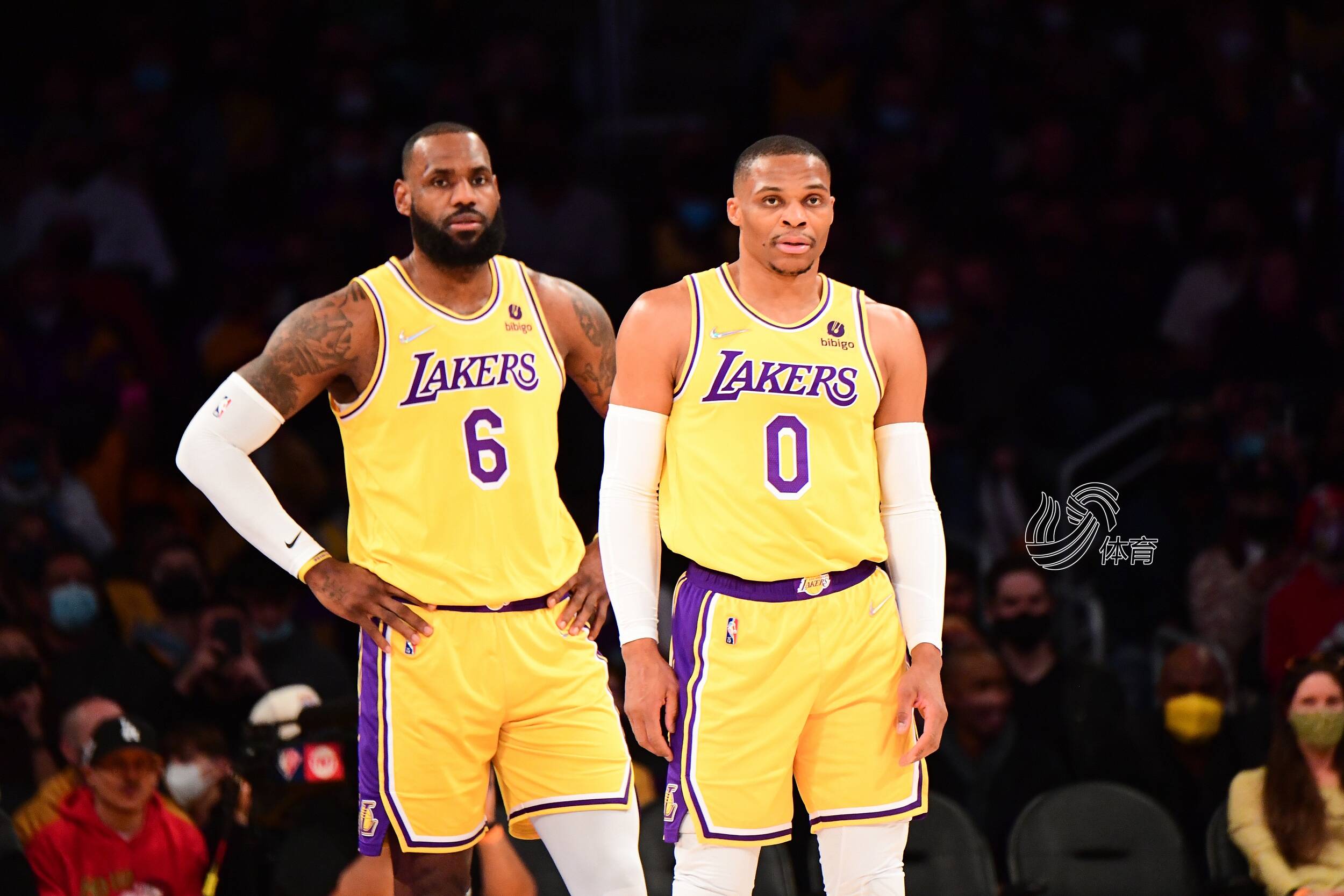 portal-sections-structure